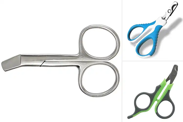 Detailed view of Best 3-Inch Pet Nail Scissors