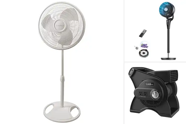 Detailed view of Best Adjustable Fans