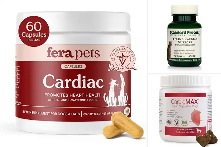 Detailed view of Best Cardiac Support Supplements for a Strong, Steady Heart