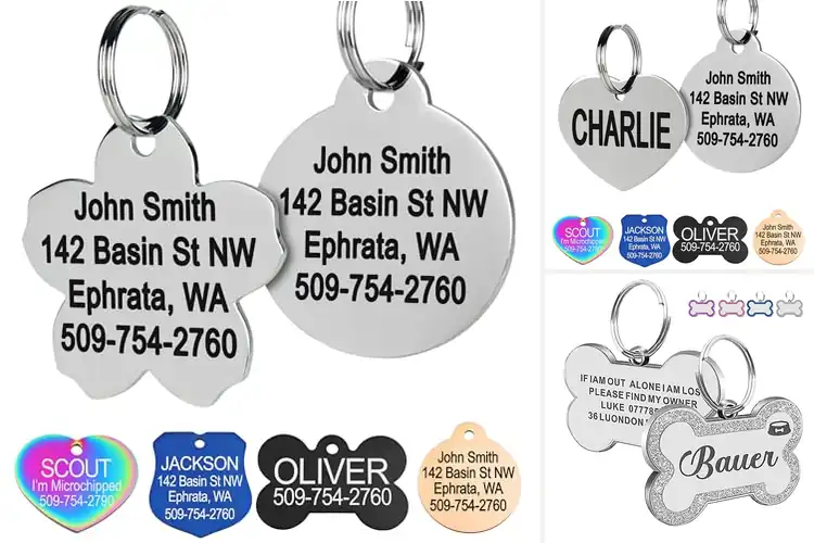 Detailed view of Best Clear Text Pet Tags