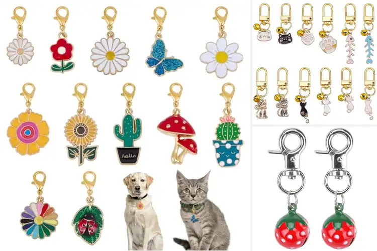 Detailed view of Best Collar Charms: Top Picks to Elevate Your Pet’s Style