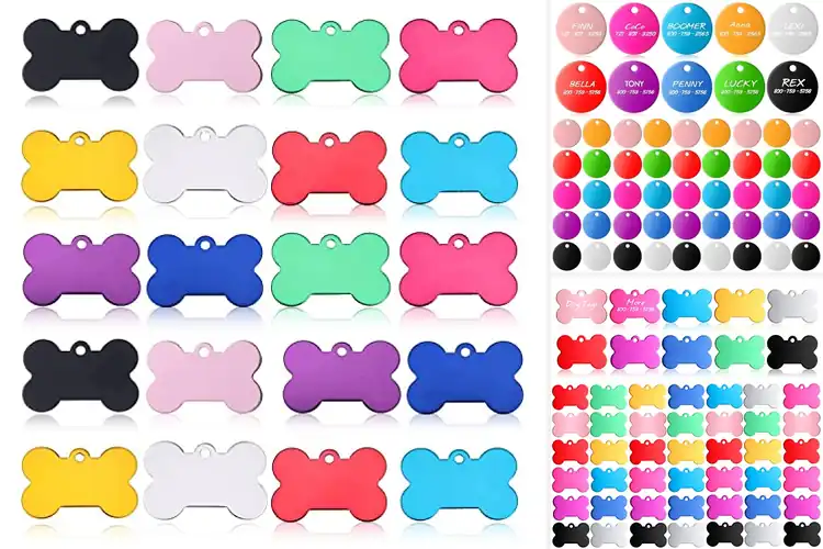 Detailed view of Best Colorful Pet Tags Options