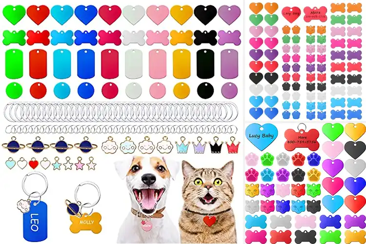 Detailed view of Best Colorful Pet Tags: Style & Safety