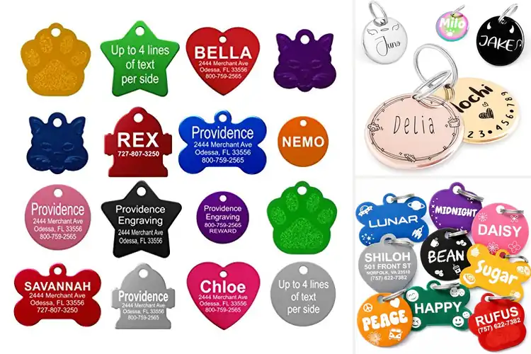 Detailed view of Best Custom Cat Tags: 10 Unique Picks for Your Feline Friend