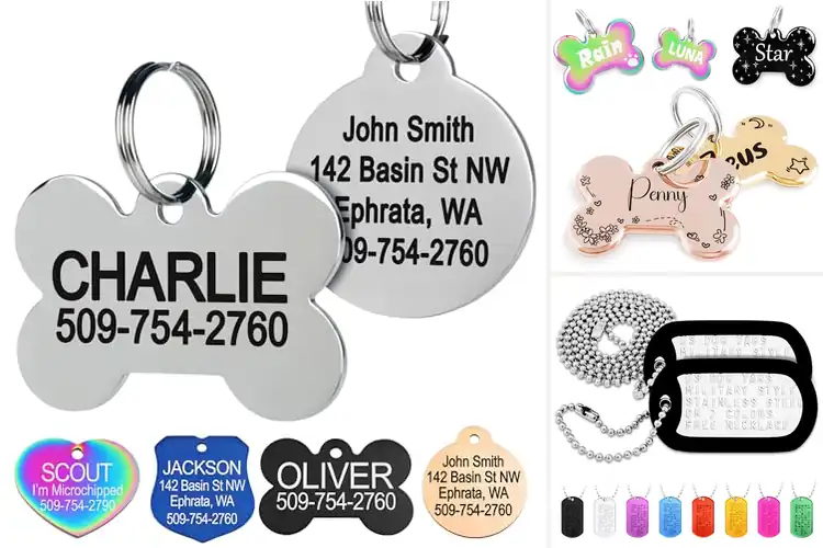 Detailed view of Best Custom Dog Tags: Stylish Safety for Your Pet