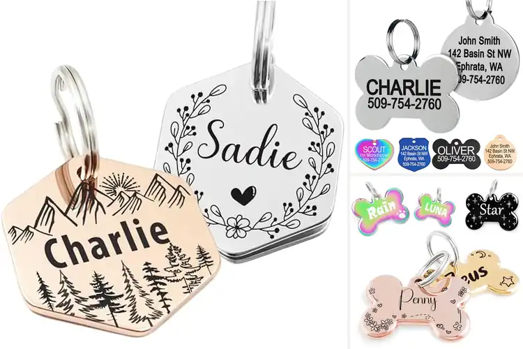 Detailed view of Best Custom Engraved Pet Tags