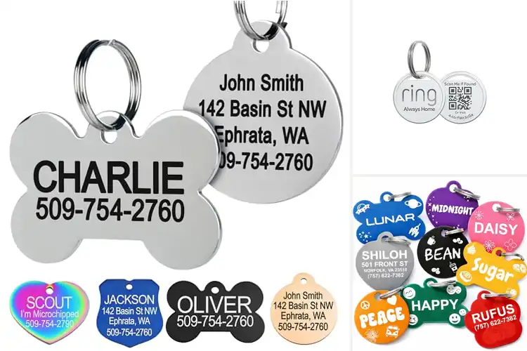 Detailed view of Best Custom Name Tags for Pets: Top Stylish & Safe Picks