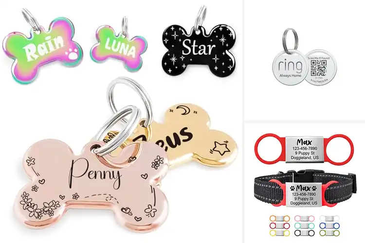 Detailed view of Best Custom Pet Accessories: Top 10 Picks for Style & Safety