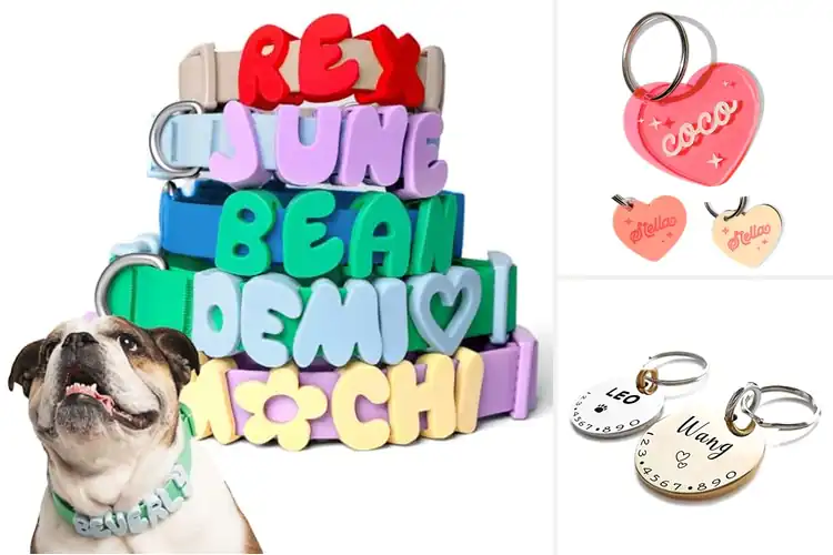 Detailed view of Best Custom Pet Collar Charms: Top Picks Your Pet Will Love
