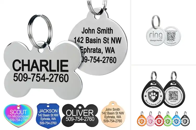 Detailed view of Best Custom Pet ID Tags for Safe, Stylish Protection