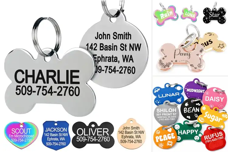 Detailed view of Best Custom Pet Name Tags: Top 10 Picks for Safety & Style
