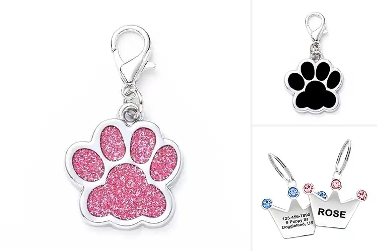 Detailed view of Best Customizable Pet Collar Charms