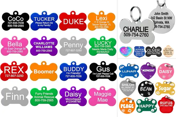 Detailed view of Best Customizable Pet Tags