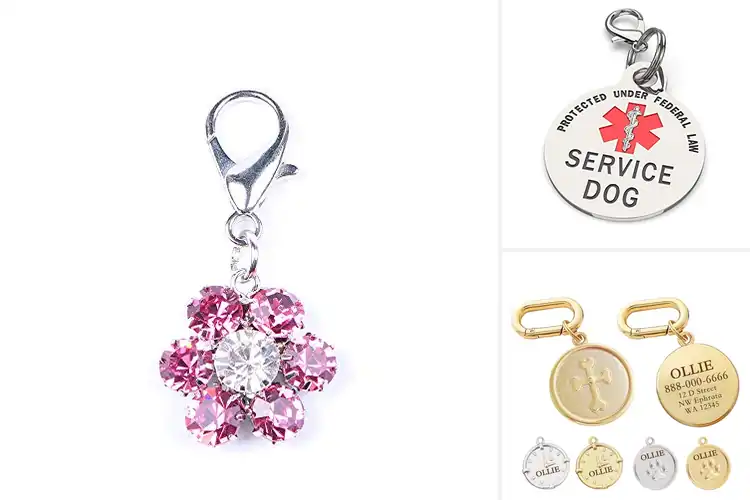 Detailed view of Best Double Sided Collar Charms