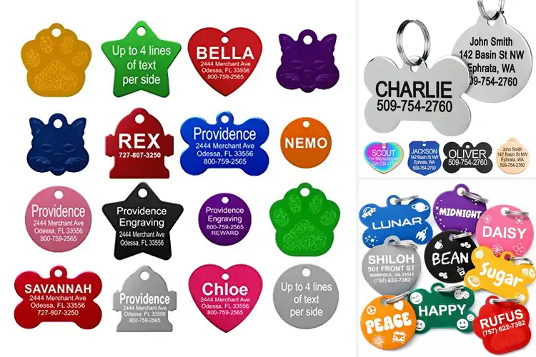 Detailed view of Best Double-Sided Pet Tags: 10 Stylish Picks for Safety & ID