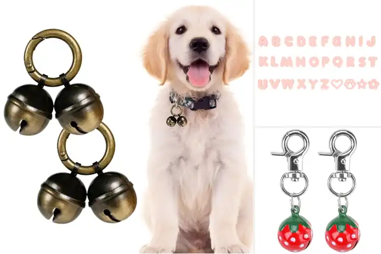Detailed view of Best Durable Collar Charms for Safe Style