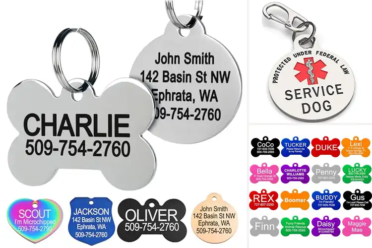 Detailed view of Best Durable Pet ID Tags