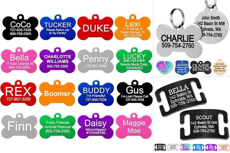 Detailed view of Best Durable Pet Identification Tags