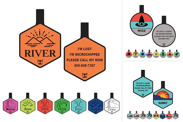 Detailed view of Best Durable Pet Safety Tags