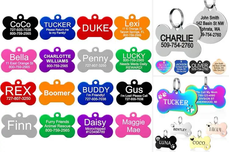 Detailed view of Best Durable Pet Tags