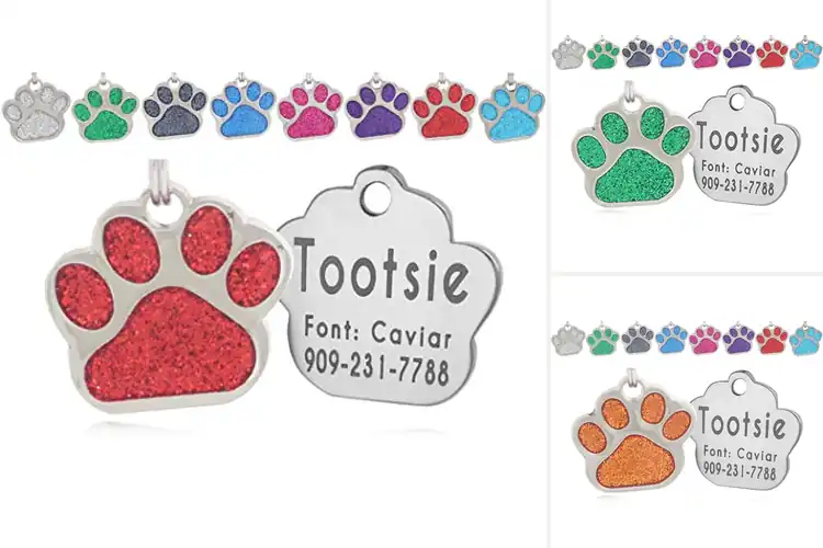 Detailed view of Best Easy Read Engraved Tags