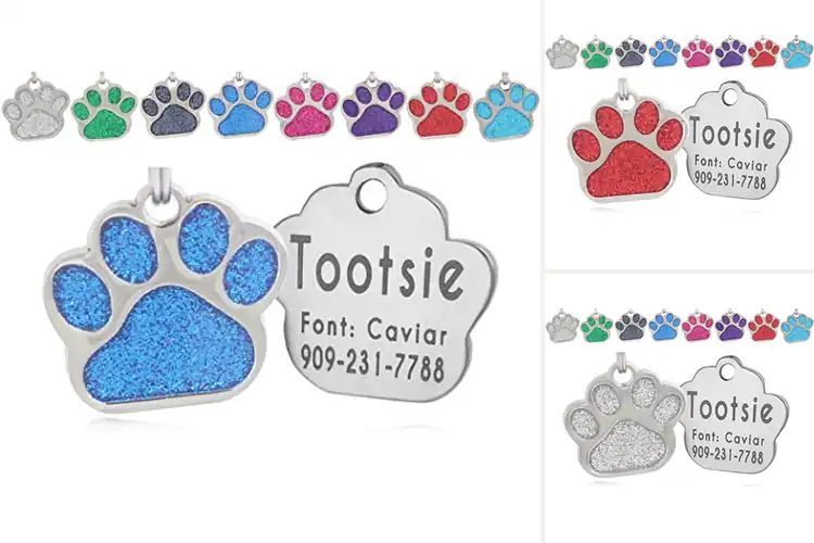 Detailed view of Best Easy Read Pet Tags