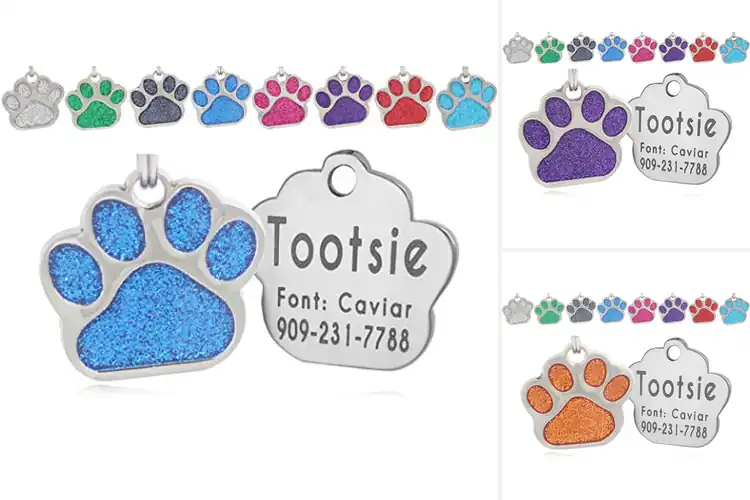 Detailed view of Best Easy to Read Pet Tags