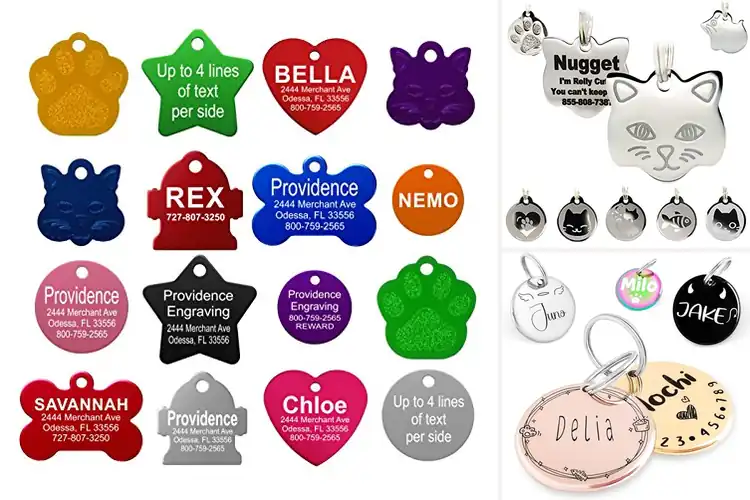 Detailed view of Best Engraved Cat Tags