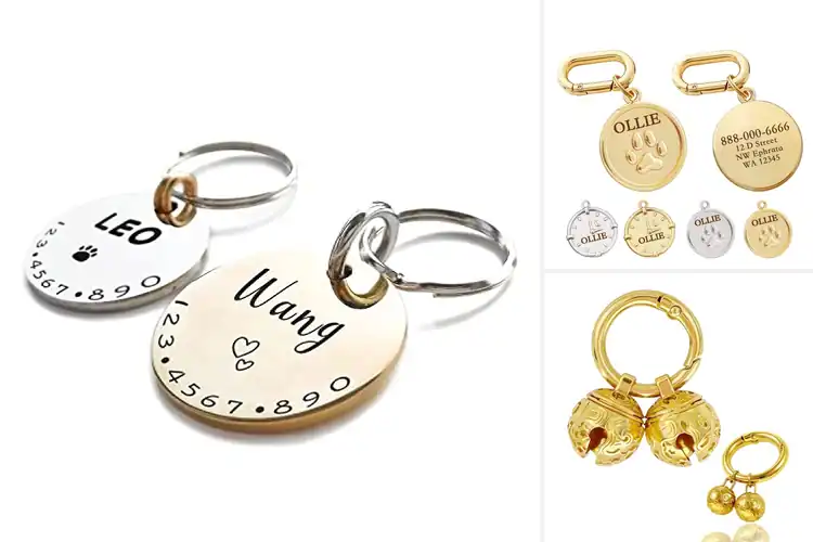 Detailed view of Best Engraved Collar Charms: 10 Stylish Picks for Pet Safety