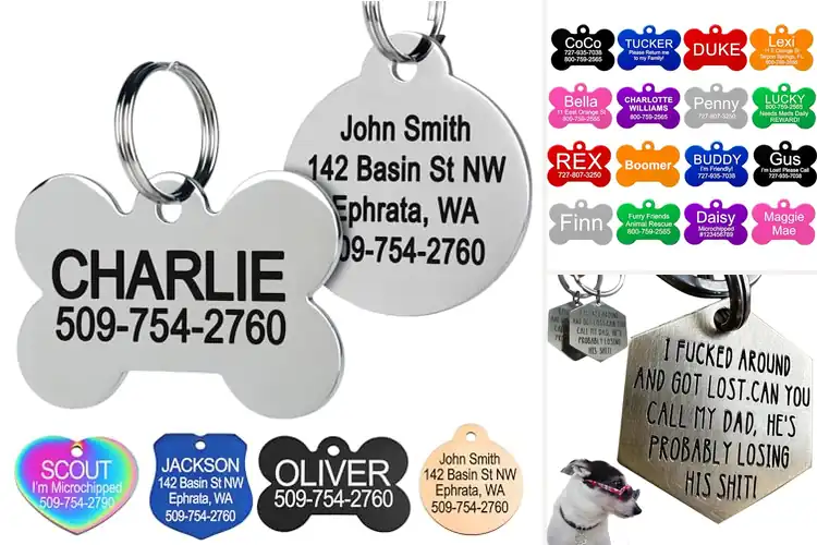 Detailed view of Best Engraved Dog Tags