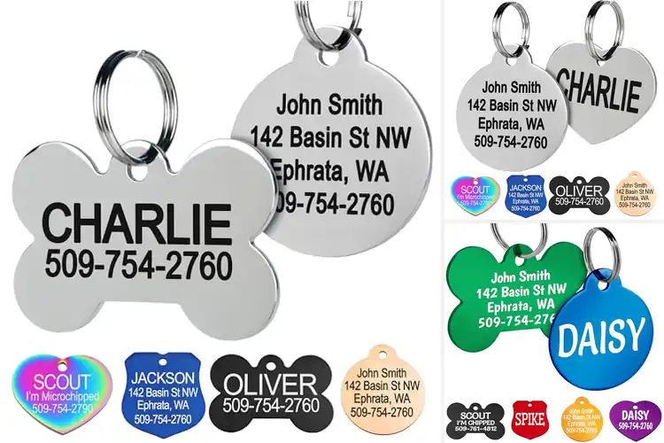Detailed view of Best Engraved On Both Sides Pet Tags