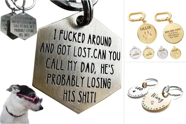 Detailed view of Best Engraved Pet Collar Charms: Stylish Safety for Your Pet