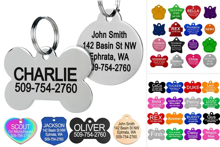 Detailed view of Best Engraved Pet ID Tags