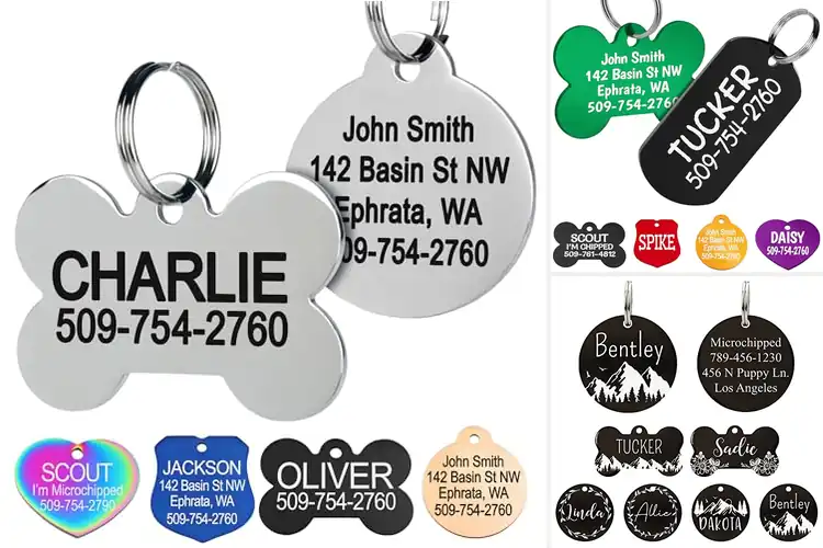 Detailed view of Best Engraved Pet Tags On Both Sides