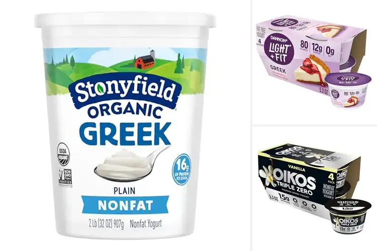 Detailed view of Best Fat Free Snack Yogurt