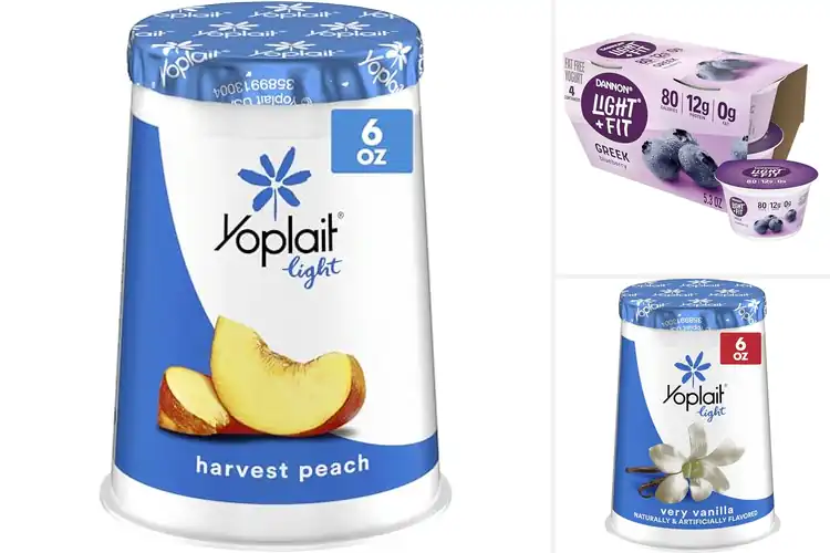 Detailed view of Best Fat Free Yogurt Cup: Top 10 Healthy & Delicious Snacks
