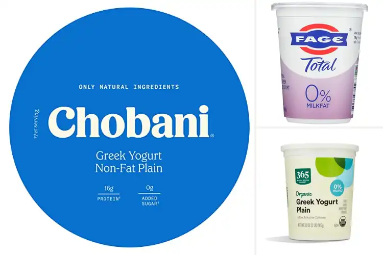 Detailed view of Best Fat Free Yogurt