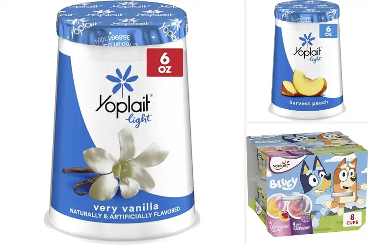 Detailed view of Best Gluten Free Snack Yogurt Cup