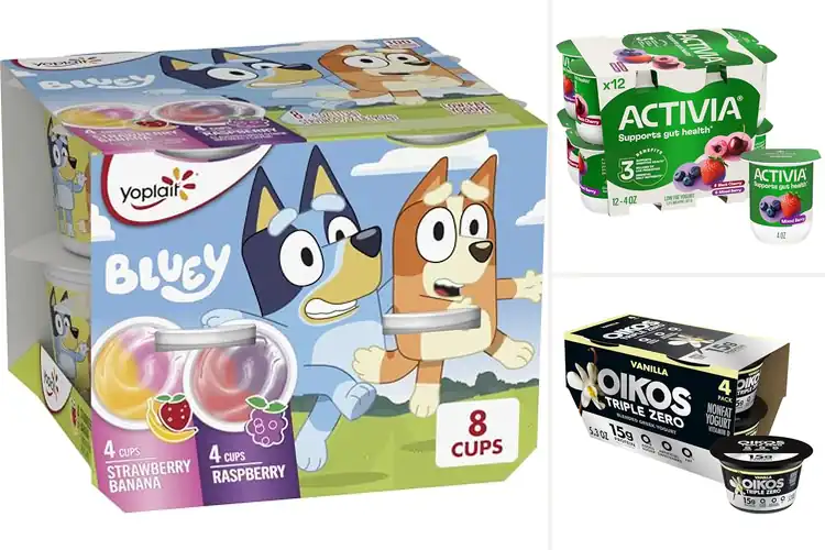 Detailed view of Best Healthy Yogurt Cups for Daily Snacking