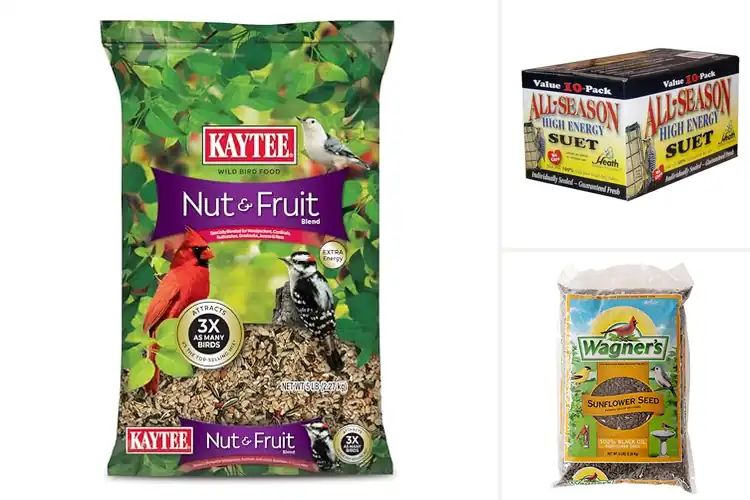 Detailed view of Best High Energy Bird Foods