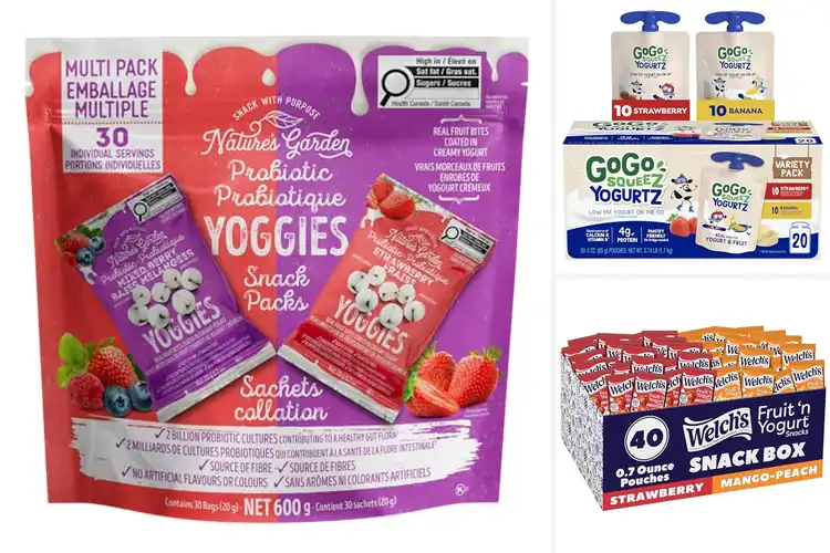 Detailed view of Best Kid Friendly Yogurt Snack