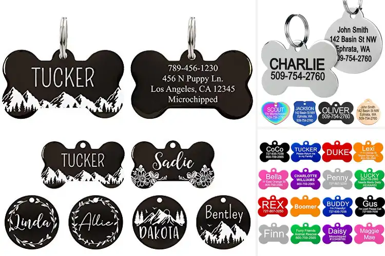 Detailed view of Best Large Dog Tags for Strong, Safe Identification