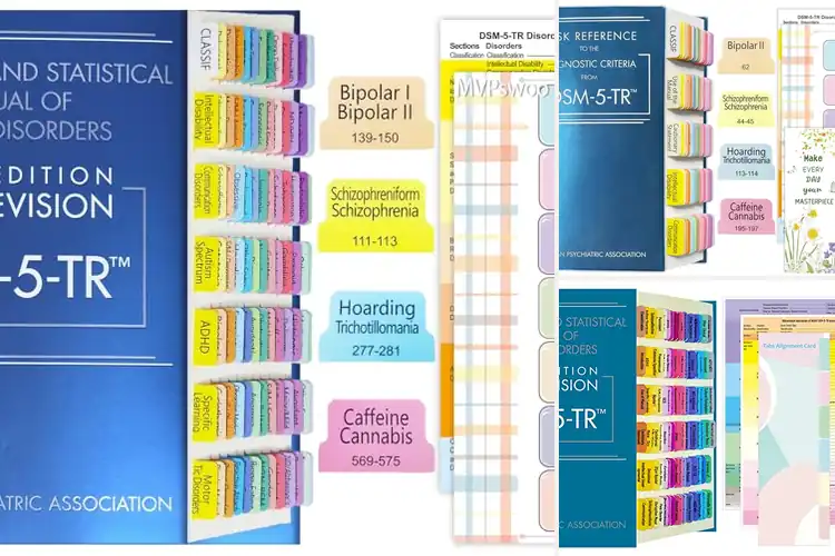 Detailed view of Best Page Numbered DSM-5-TR Tabs