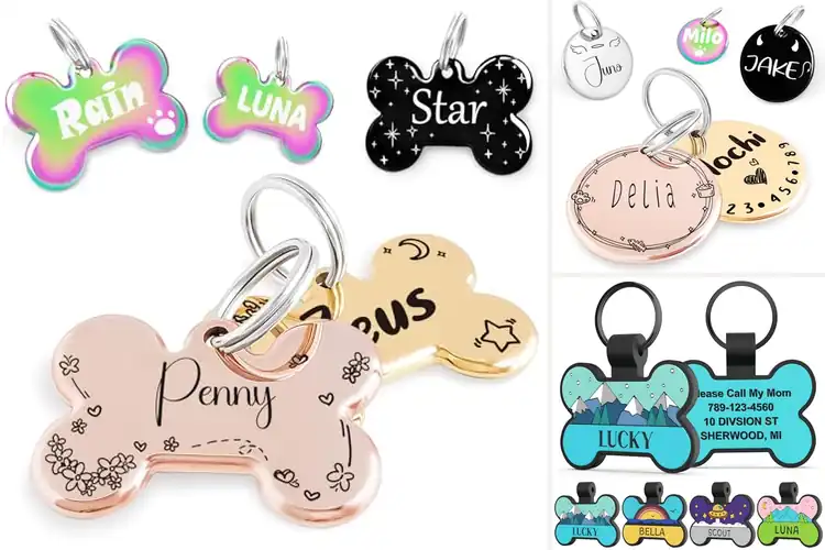 Detailed view of Best Patterned Pet Tags