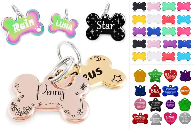 Detailed view of Best Patterns And Colors Pet Tags
