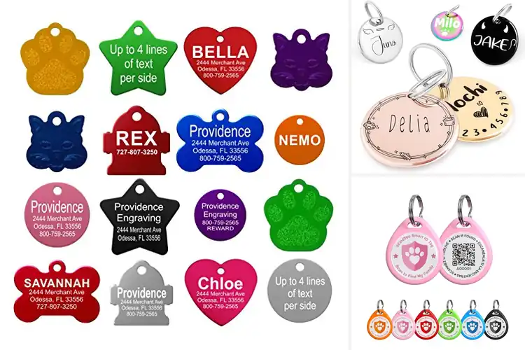 Detailed view of Best Personalized Cat Tags