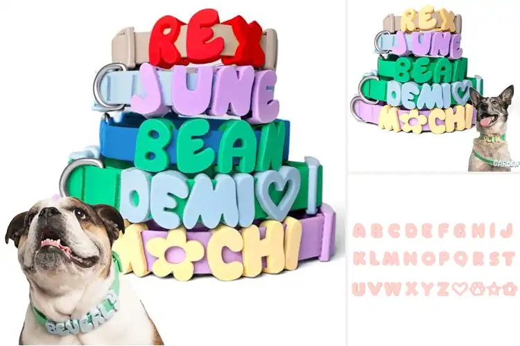 Detailed view of Best Personalized Collar Charms