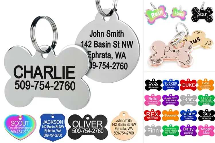 Detailed view of Best Personalized Dog Tags