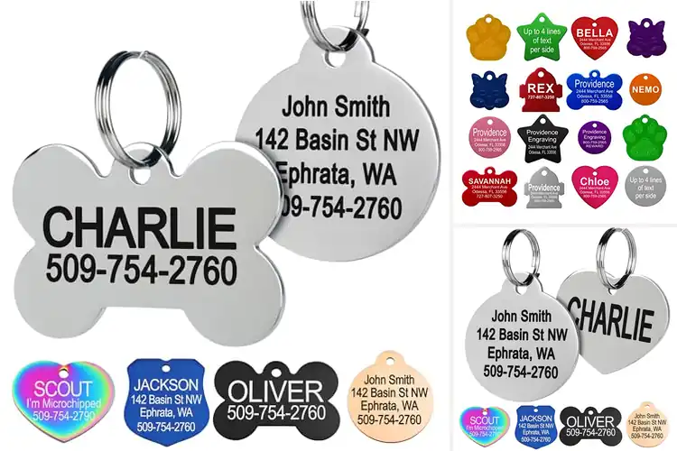 Detailed view of Best Personalized Pet ID Tags