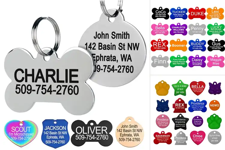 Detailed view of Best Personalized Pet Tags: Style & Safety